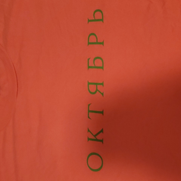 Gosha Rubchinskiy ОКТЯБРЬ October Salmon Tee Size Large - Picture 2 of 4